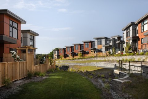 White Wolf Homes multi‑unit modern townhomes in Arbor Hill, Victoria BC urban development.