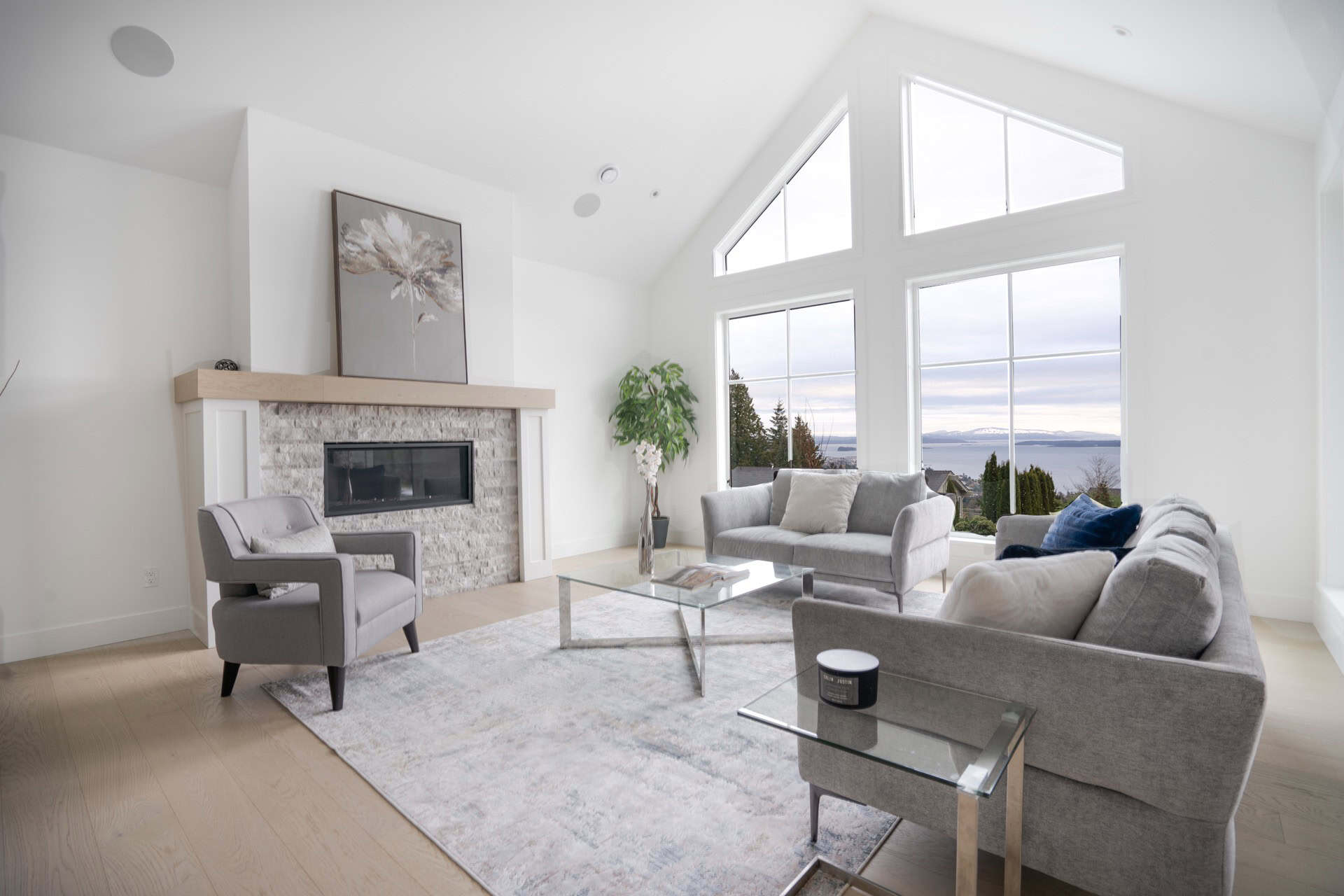 Bright living room with vaulted windows, modern furniture and fireplace in Victoria BC home.